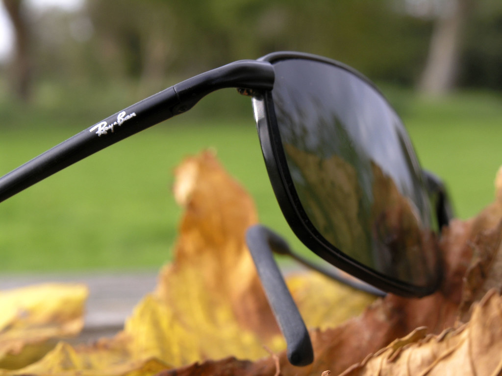 Autumn eye glasses - I