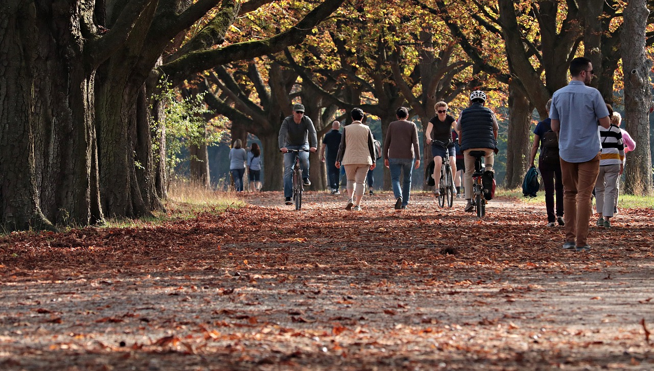 autumn park outdoors nature trees 3731094