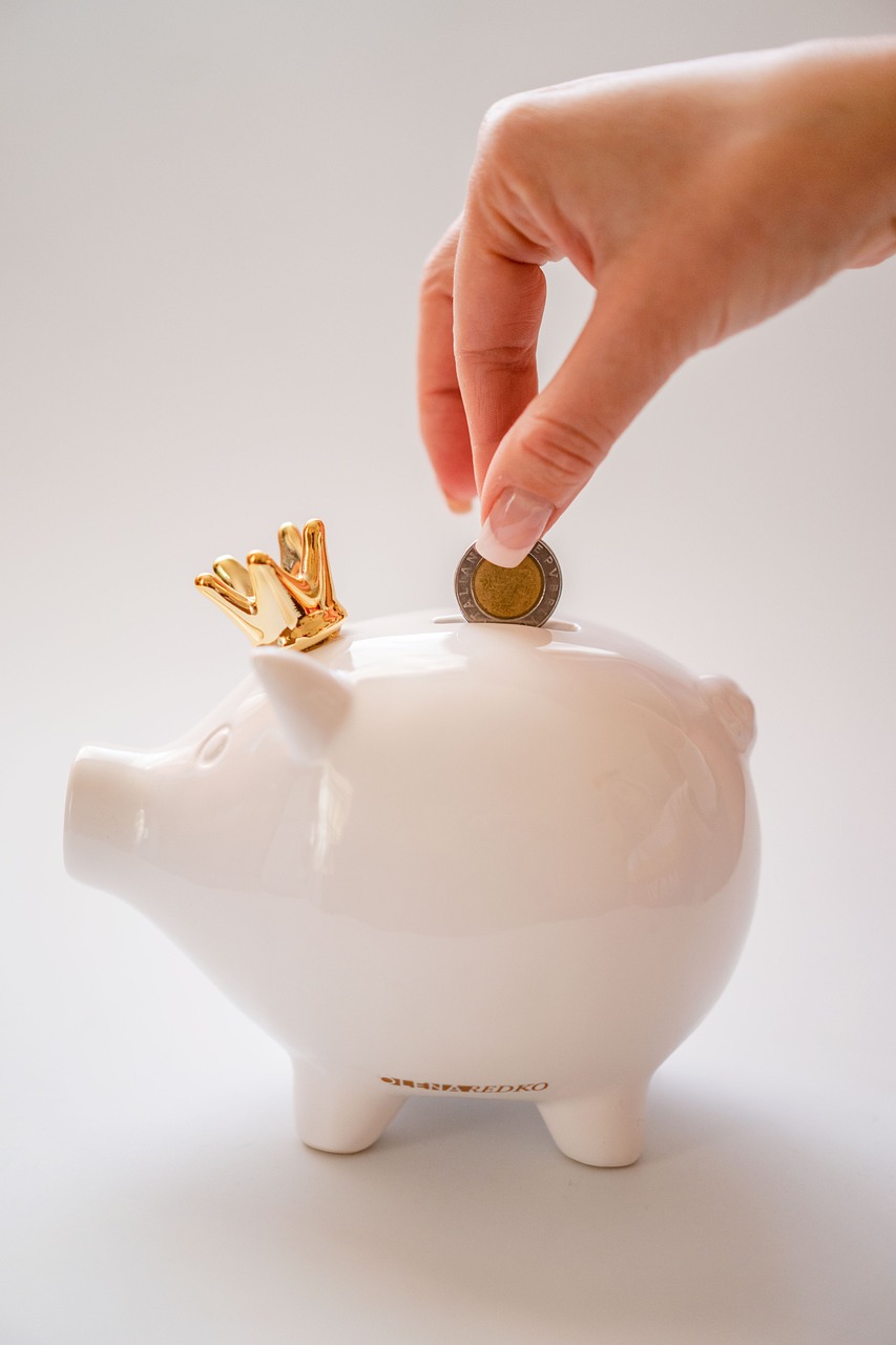 money saving money piggy bank 6688955